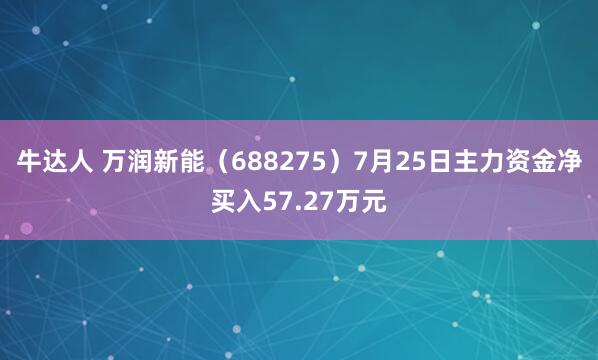 牛达人 万润新能（688275）7月25日主力资金净买入57.27万元