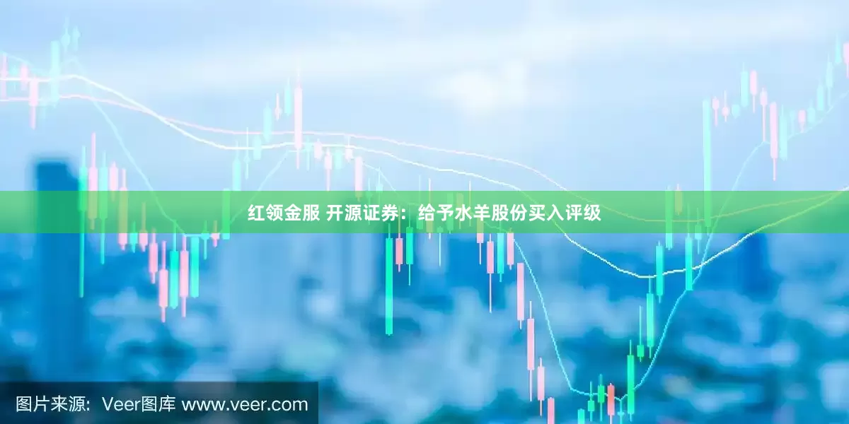 红领金服 开源证券：给予水羊股份买入评级